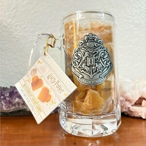 Harry Potter Glass Mug with Silver Crest